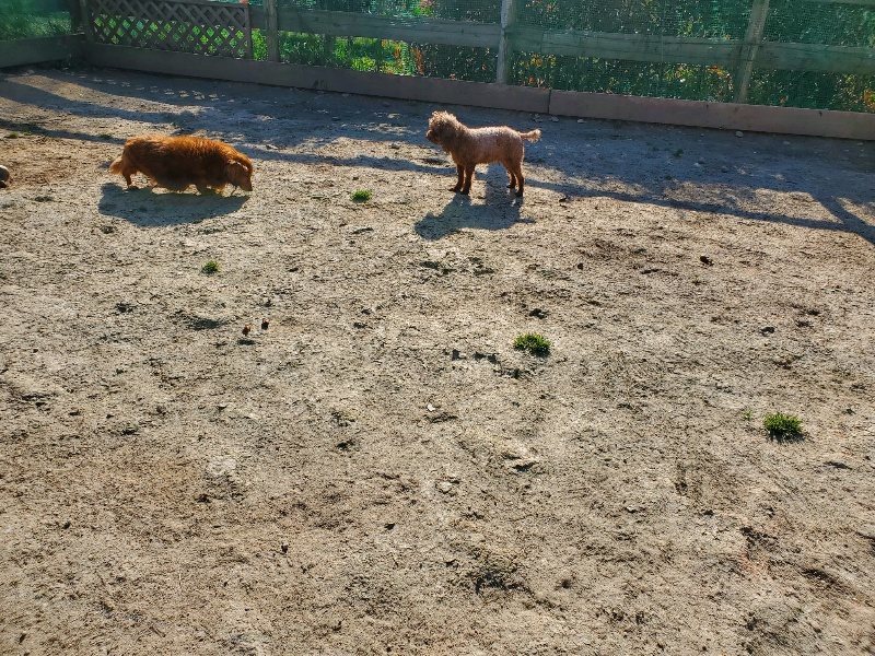 f：id：roukenhome-ann：20200406182844j：plain