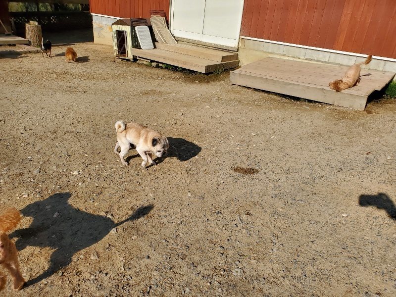 f：id：roukenhome-ann：20200406182854j：plain