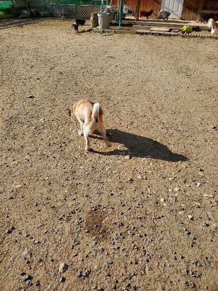 f：id：roukenhome-ann：20200406182905j：plain