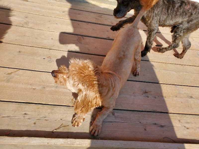 f：id：roukenhome-ann：20200406183038j：plain