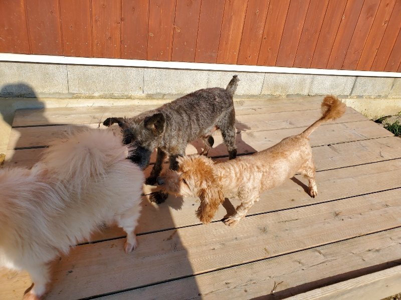 f：id：roukenhome-ann：20200406183057j：plain