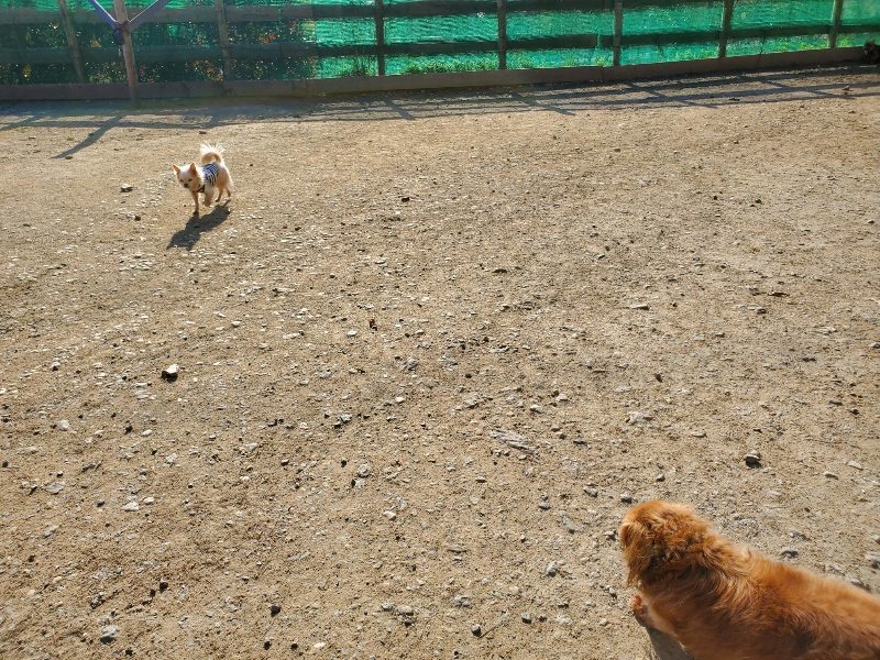 f：id：roukenhome-ann：20200406183110j：plain