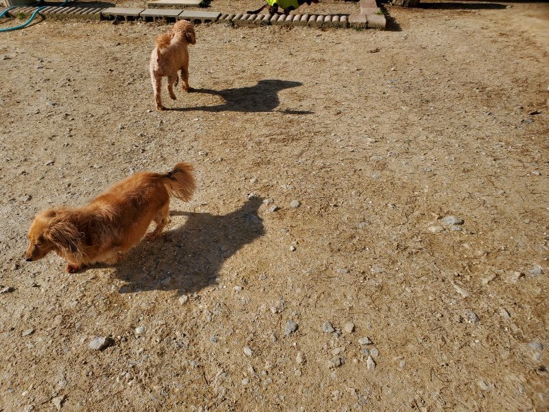 f：id：roukenhome-ann：20200406183129j：plain