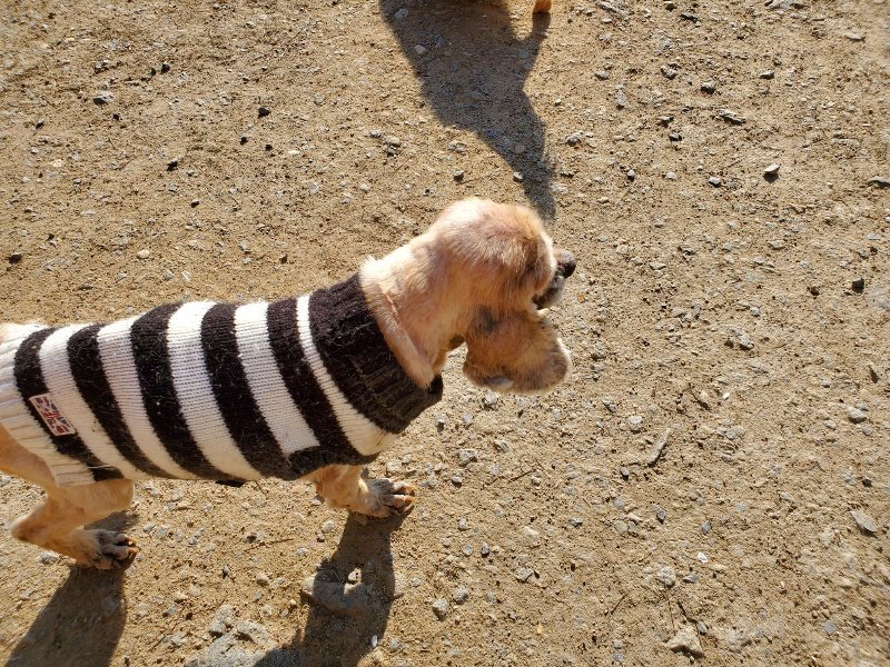 f：id：roukenhome-ann：20200406183216j：plain