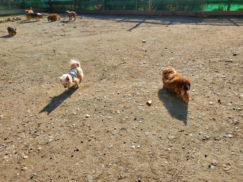 f：id：roukenhome-ann：20200406183235j：plain