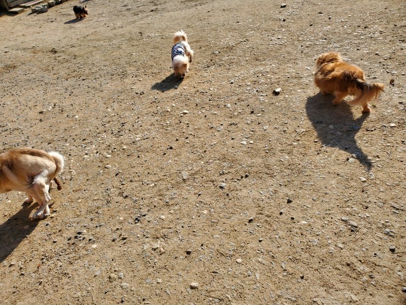 f：id：roukenhome-ann：20200406183249j：plain