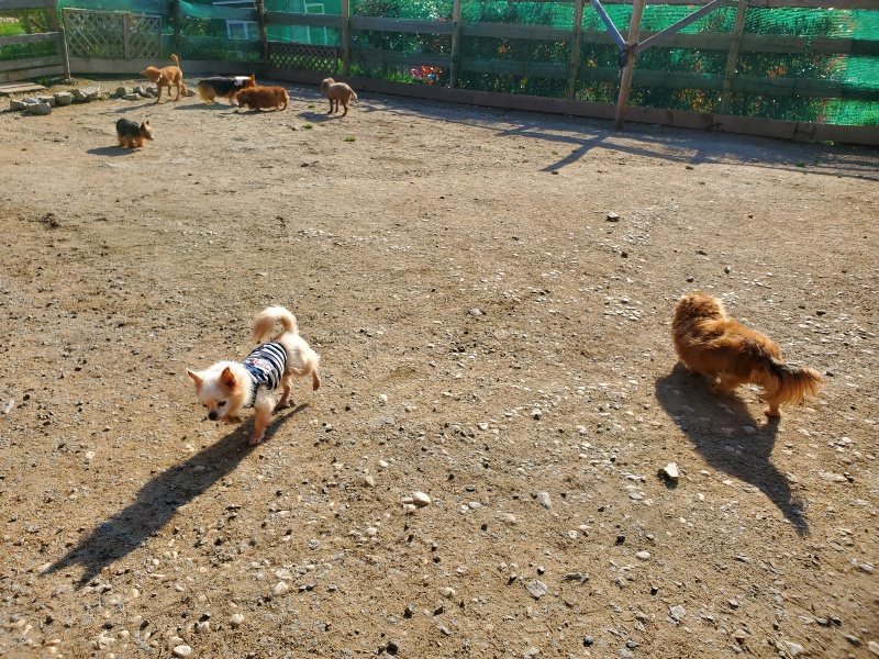 f：id：roukenhome-ann：20200406183305j：plain