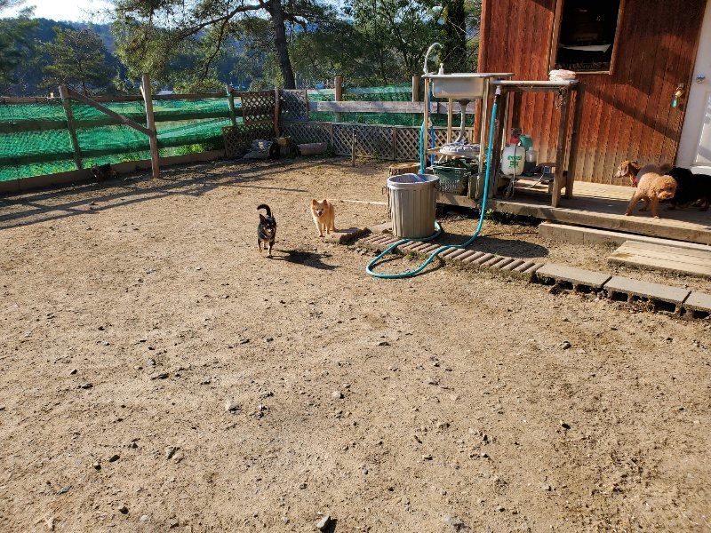 f：id：roukenhome-ann：20200406183312j：plain