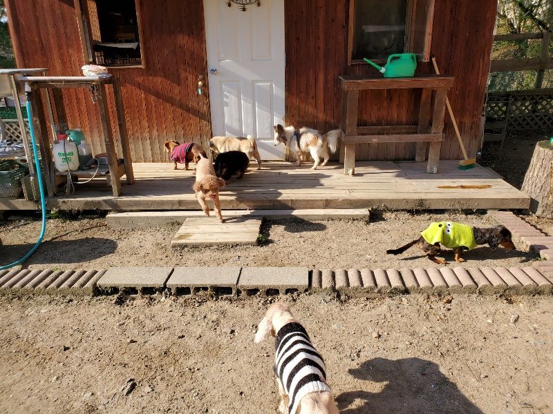 f：id：roukenhome-ann：20200406183319j：plain