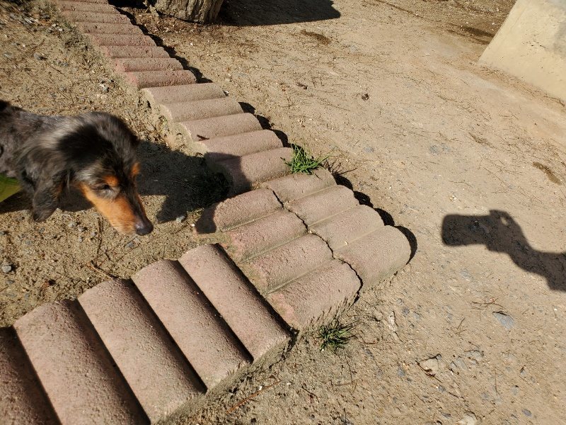 f：id：roukenhome-ann：20200406183325j：plain