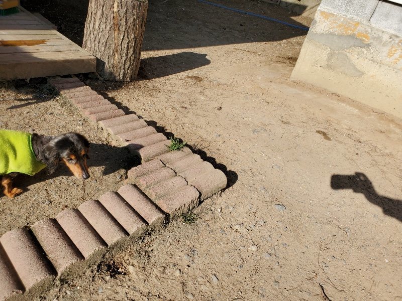 f：id：roukenhome-ann：20200406183338j：plain