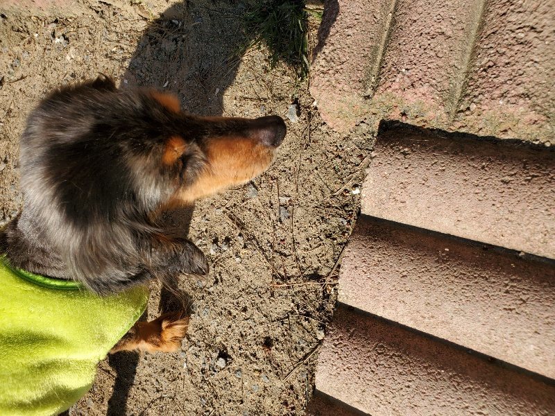 f：id：roukenhome-ann：20200406183345j：plain