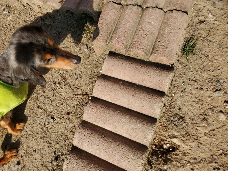 f：id：roukenhome-ann：20200406183354j：plain