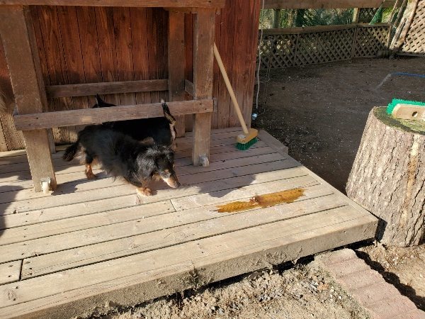 f：id：roukenhome-ann：20200406183405j：plain