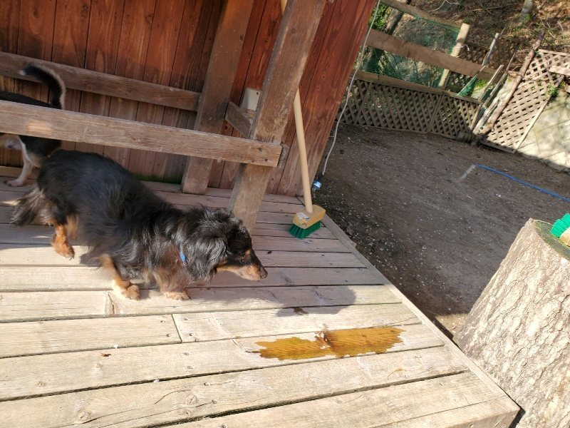 f：id：roukenhome-ann：20200406183411j：plain