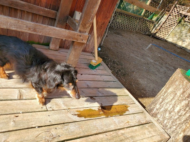 f：id：roukenhome-ann：20200406183419j：plain