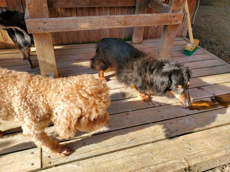 f：id：roukenhome-ann：20200406183427j：plain