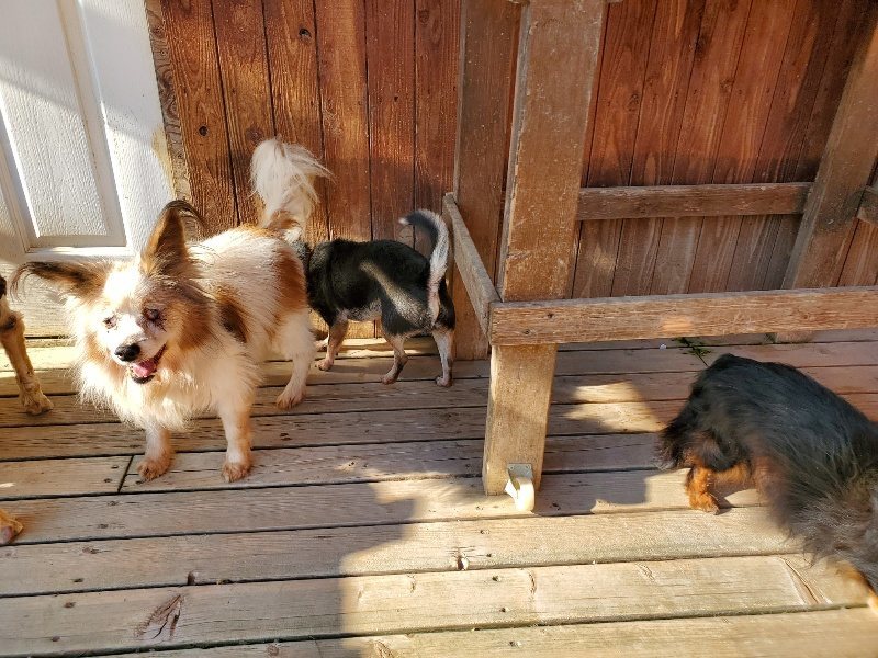 f：id：roukenhome-ann：20200406183434j：plain