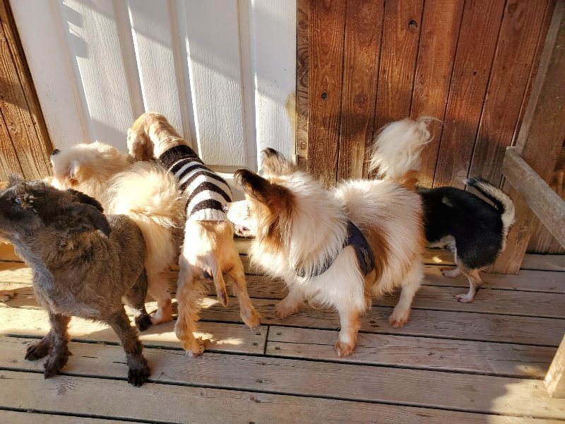 f：id：roukenhome-ann：20200406183440j：plain