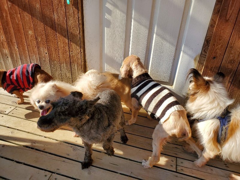 f：id：roukenhome-ann：20200406183446j：plain