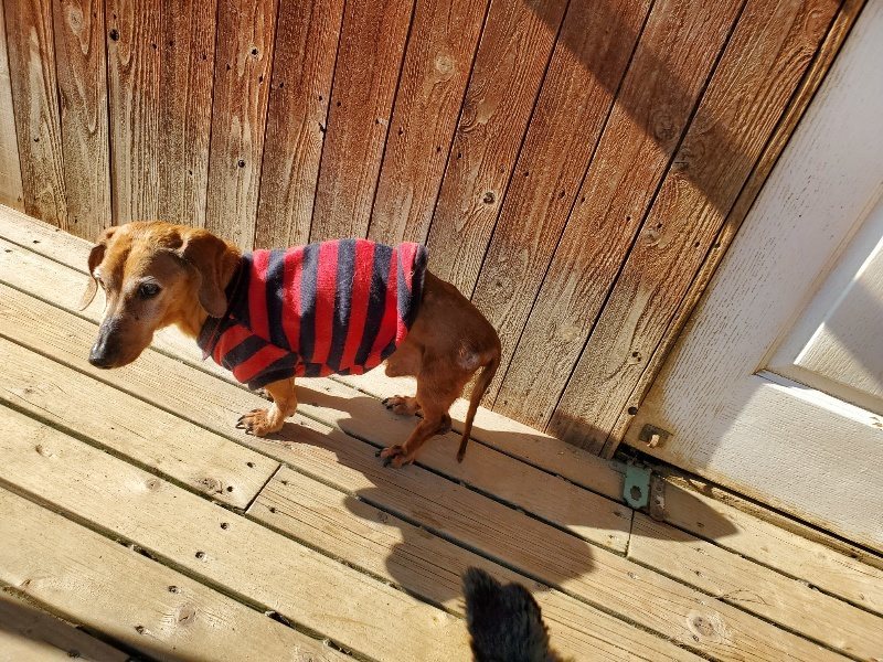 f：id：roukenhome-ann：20200406183454j：plain