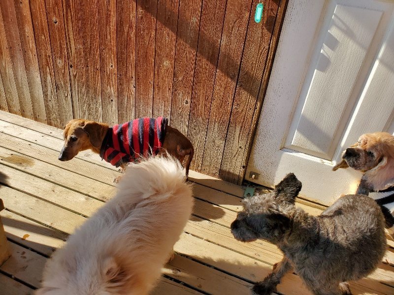 f：id：roukenhome-ann：20200406183500j：plain