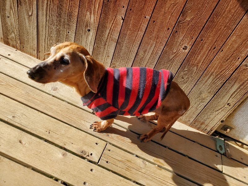 f：id：roukenhome-ann：20200406183505j：plain