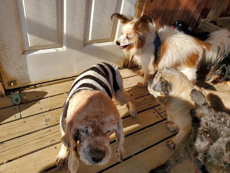 f：id：roukenhome-ann：20200406183527j：plain