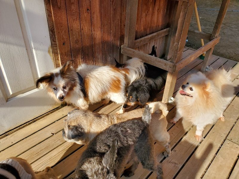 f：id：roukenhome-ann：20200406183532j：plain