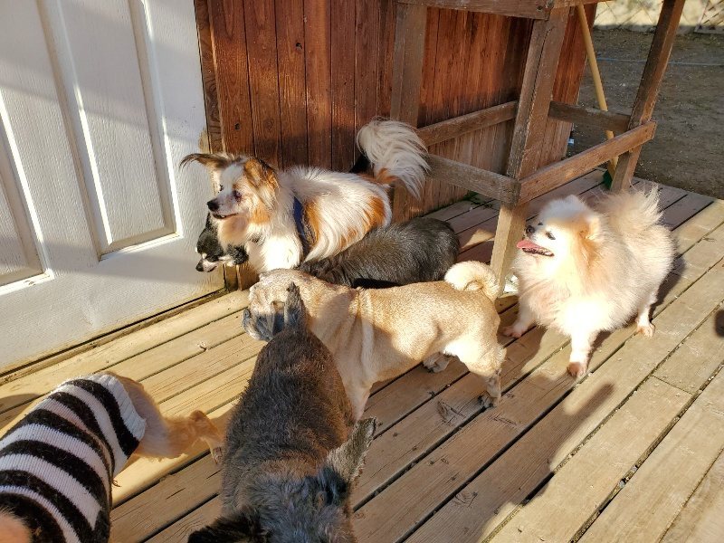 f：id：roukenhome-ann：20200406183538j：plain