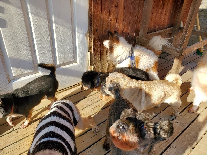 f：id：roukenhome-ann：20200406183545j：plain