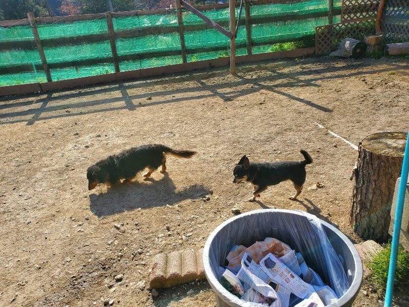 f：id：roukenhome-ann：20200406183613j：plain