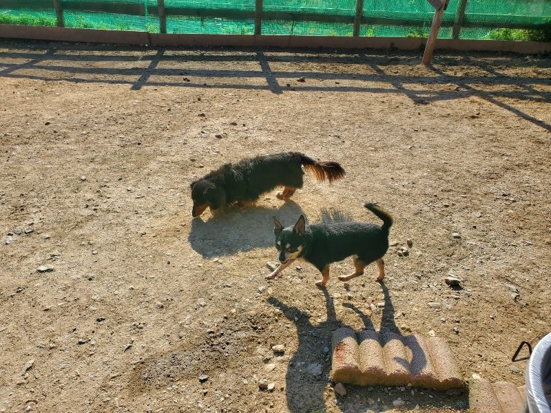 f：id：roukenhome-ann：20200406183619j：plain