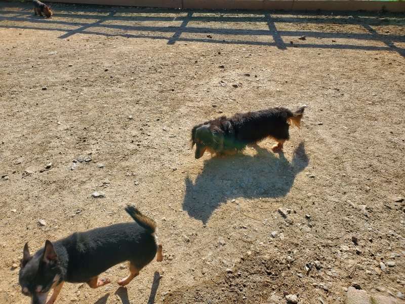 f：id：roukenhome-ann：20200406183625j：plain