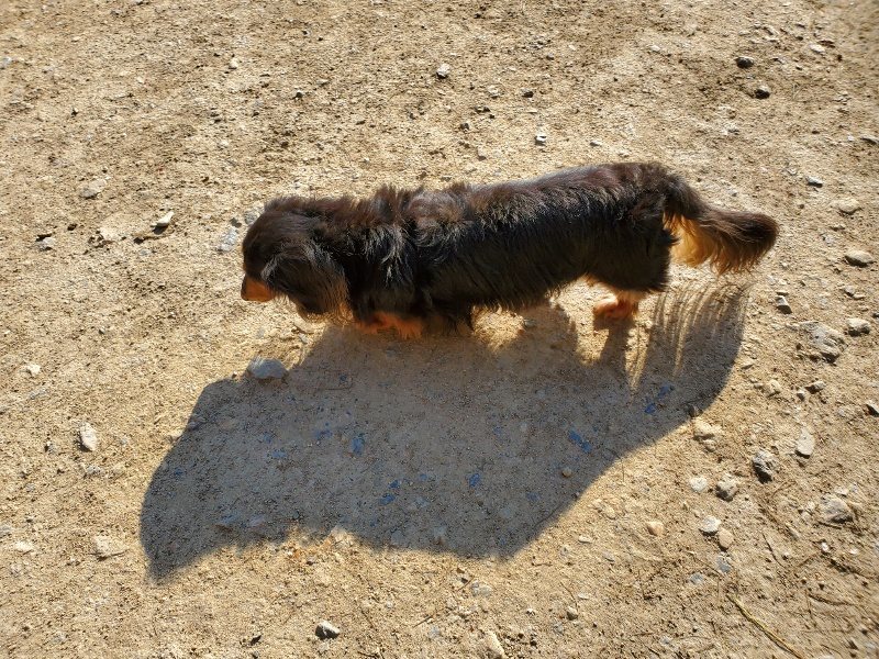 f：id：roukenhome-ann：20200406183633j：plain