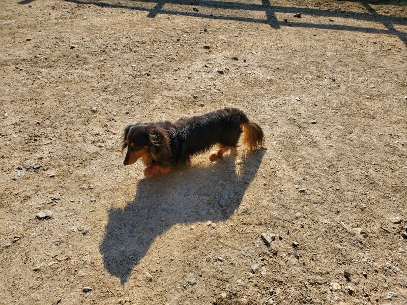 f：id：roukenhome-ann：20200406183645j：plain