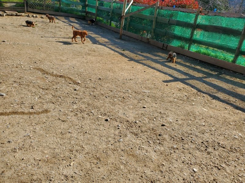 f：id：roukenhome-ann：20200406183659j：plain