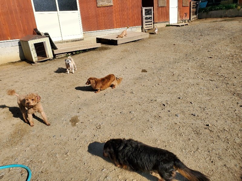 f：id：roukenhome-ann：20200406183706j：plain