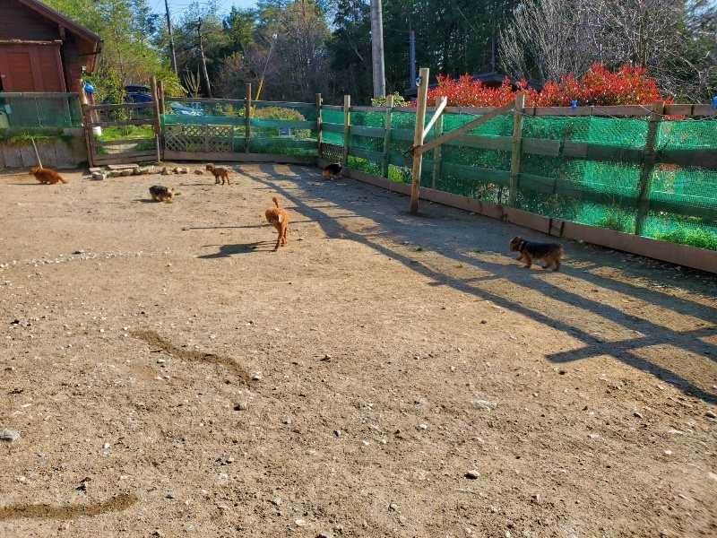 f：id：roukenhome-ann：20200406185458j：plain