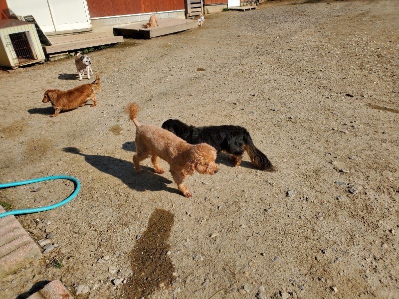 f：id：roukenhome-ann：20200406185508j：plain