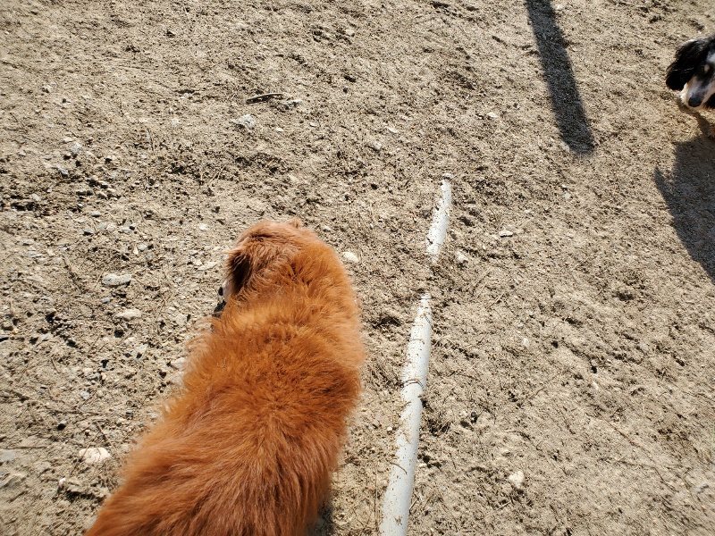 f：id：roukenhome-ann：20200406185530j：plain