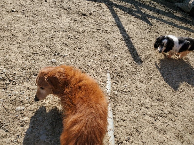 f：id：roukenhome-ann：20200406185537j：plain