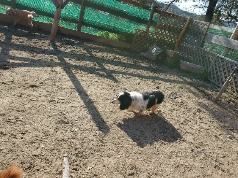 f：id：roukenhome-ann：20200406185544j：plain