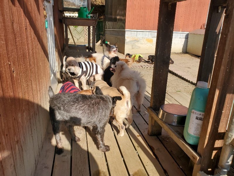 f：id：roukenhome-ann：20200406185550j：plain