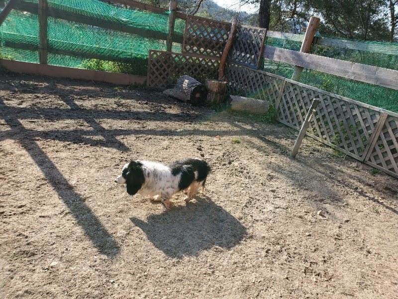 f：id：roukenhome-ann：20200406185557j：plain