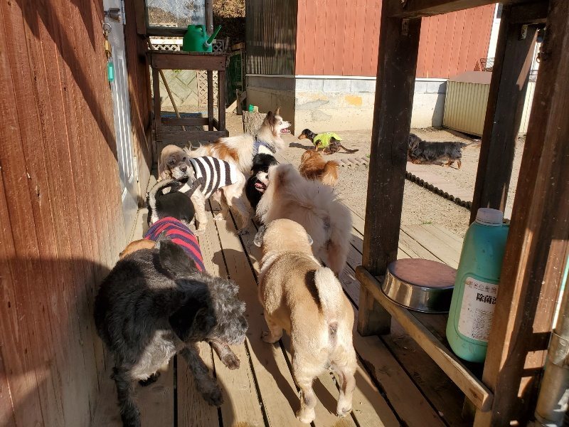 f：id：roukenhome-ann：20200406185605j：plain