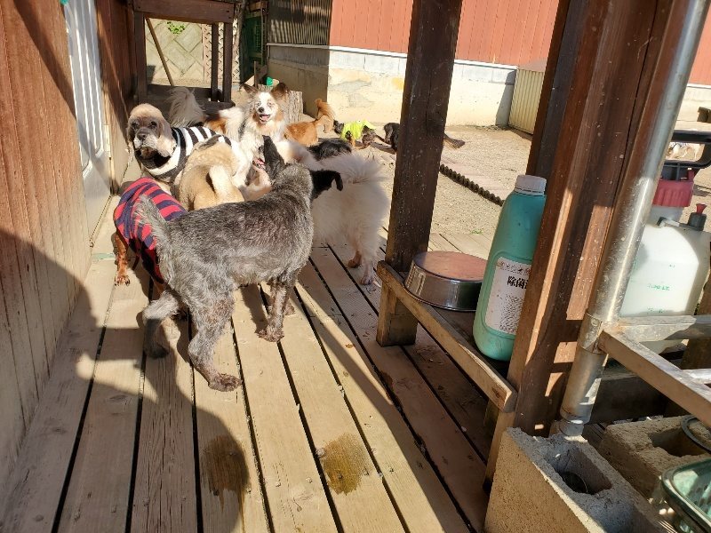 f：id：roukenhome-ann：20200406185611j：plain