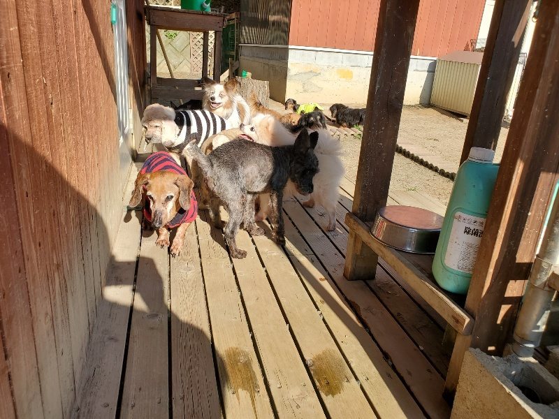 f：id：roukenhome-ann：20200406185618j：plain