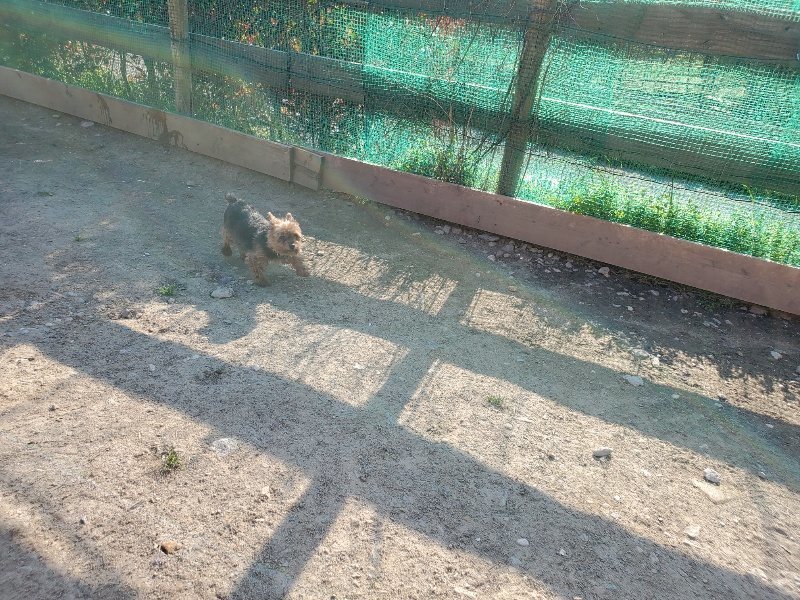 f：id：roukenhome-ann：20200406185625j：plain