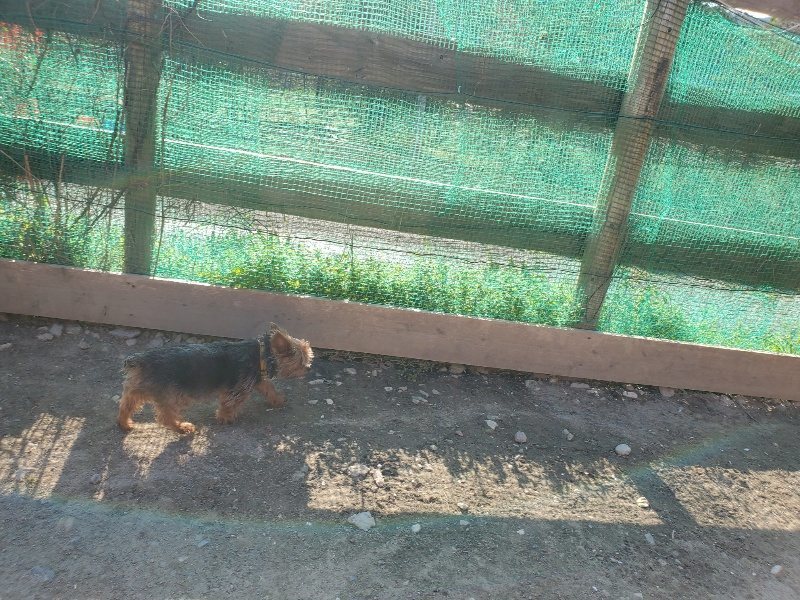 f：id：roukenhome-ann：20200406185632j：plain